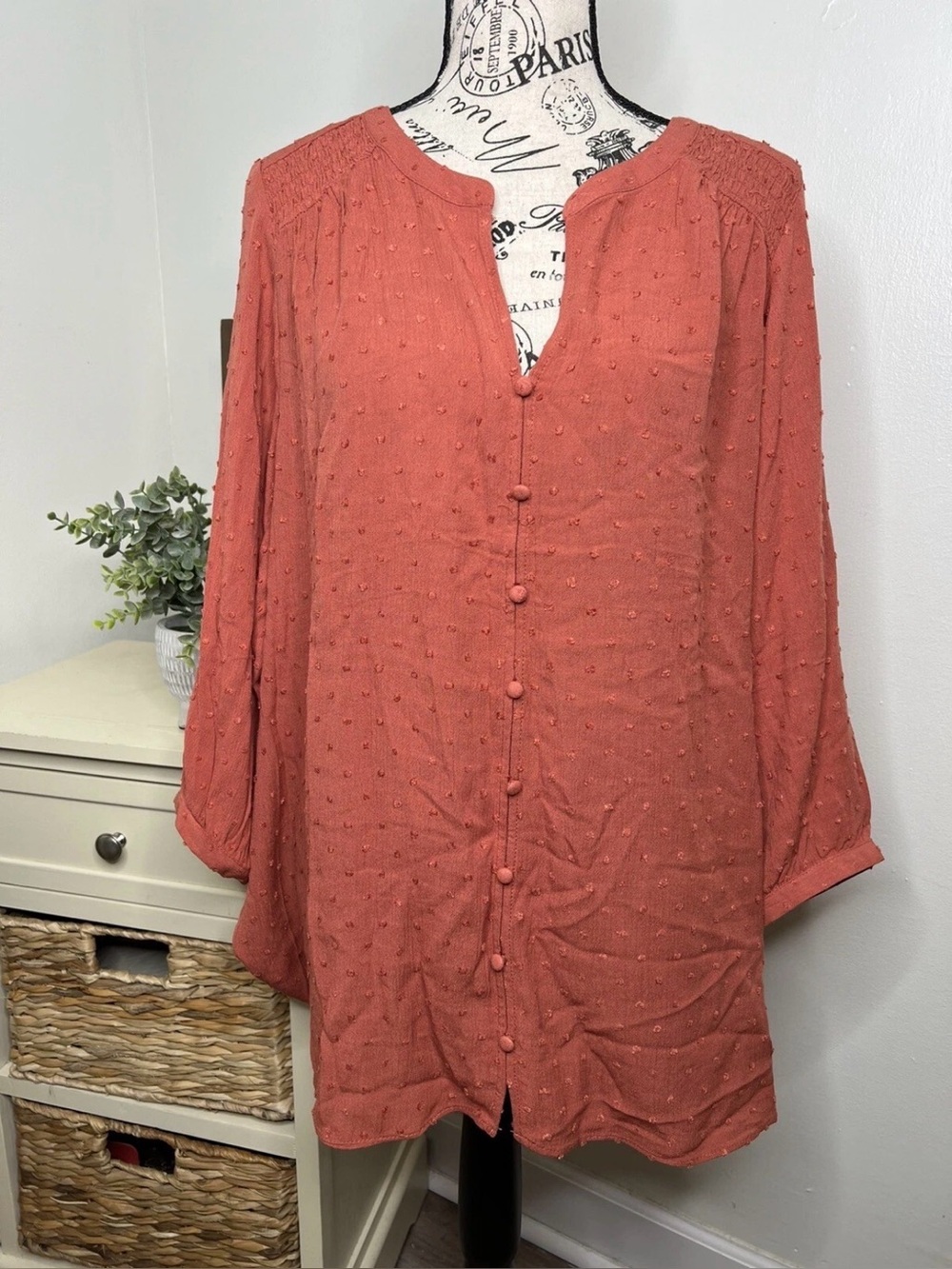 Rose + Olive Long Sleeve Swiss Dot Top